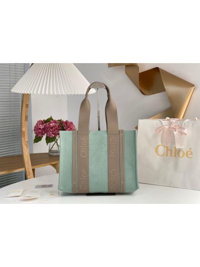 Chloe Medium Woody Canvas Top Handle Shoulder Bag Light Green - Main view