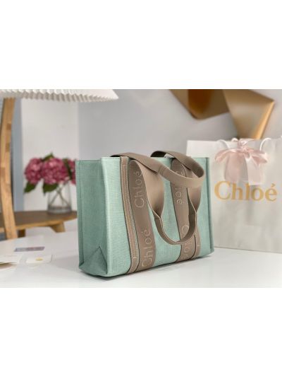 Chloe Medium Woody Canvas Top Handle Shoulder Bag Light Green - Detail view 3