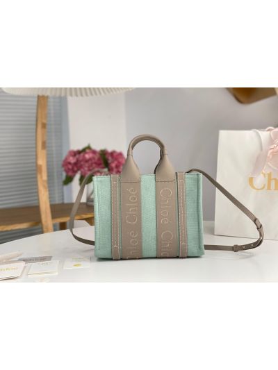 Chloe Mini Woody Canvas Top Handle Shoulder Bag Light Green - Main view
