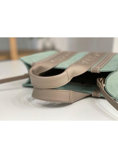 Chloe Mini Woody Canvas Top Handle Shoulder Bag Light Green - Detail view 3