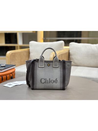 Chloe Small Carry Tote Shoulder Bag Gray Cotton Canvas