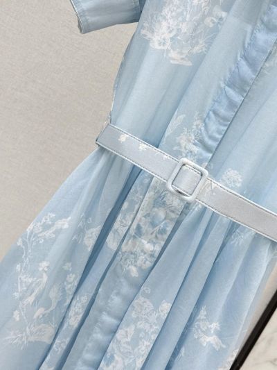 Dior Maxi Short Sleeve Dress in Light Blue