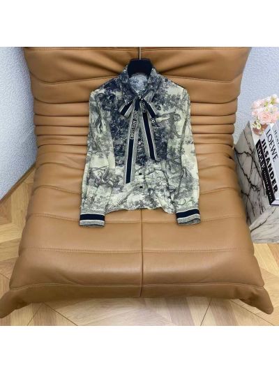 Dior Silk Bow Shirt in Multicolor
