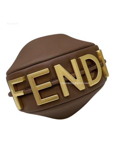 Fendi Fendigraphy Mini Shoulder Crossbody Bag Dark Brown Leather 80155A Brown 2523667
