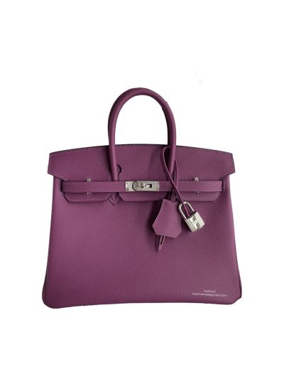 Hermes Birkin 25 Bag Purple Epsom 523994