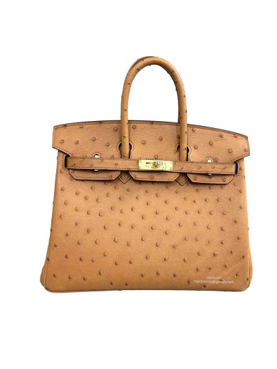 Hermes Birkin 25 Beige Ostrich Leather Tote Bag 25CM 524698
