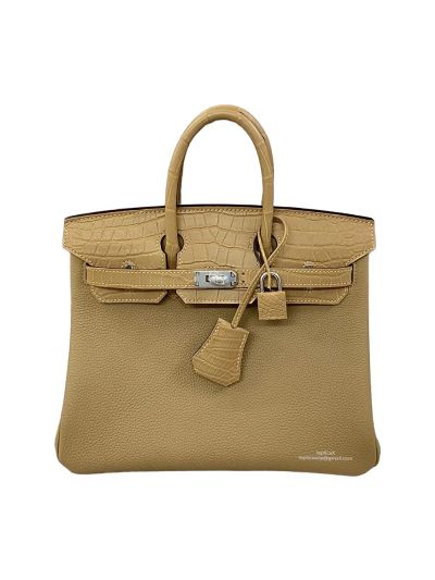 Hermes Birkin 25 Beige Togo and Crocodile Leather Bag 25CM 524274