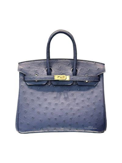 Hermes Birkin 25 Blue Ostrich Leather Bag 25CM 524260