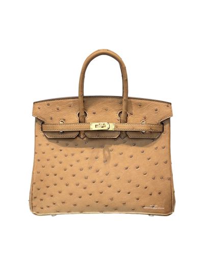 Hermes Birkin 25 Brown Ostrich Leather Bag 25CM 524259
