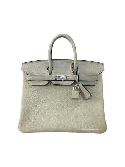 Hermes Birkin 25 Cream White Togo and Crocodile Leather Bag 25CM 524278