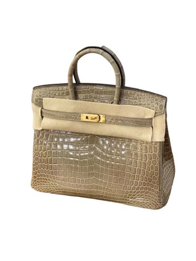 Hermes Birkin 25 Gray Crocodile Leather Bag 25CM 524450