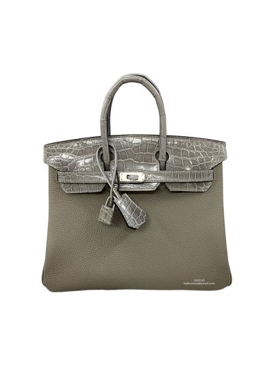 Hermes Birkin 25 Gray Togo and Crocodile Leather Bag 25CM 524282