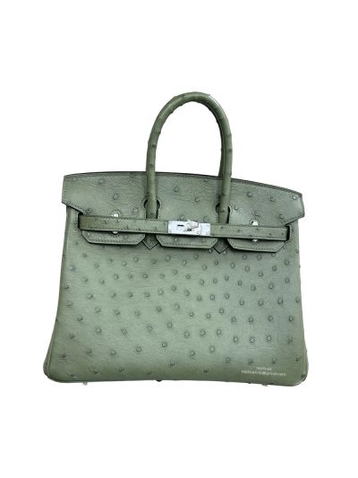 Hermes Birkin 25 Green Ostrich Leather Tote Bag 25CM 524701