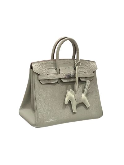 Hermes Birkin 25 Grey Alligator Crocodile Touch and Togo Leather Bag 25CM 524463