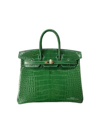 Hermes Birkin 25 Himalayan Crocodile Bag Green 25CM 524390