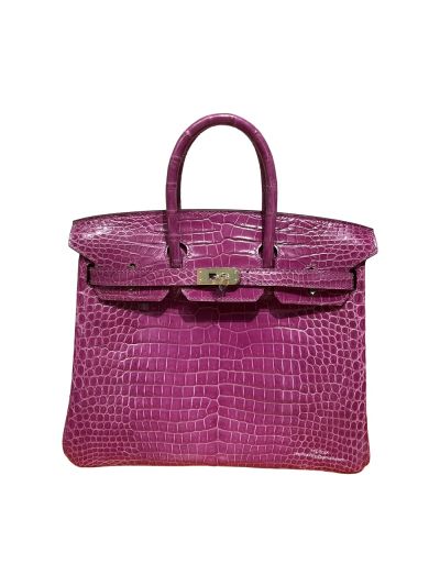 Hermes Birkin 25 Himalayan Crocodile Leather Bag Purple 25CM 524397
