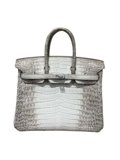 Hermes Birkin 25 Himalayan Crocodile Leather Bag White 25CM 524408