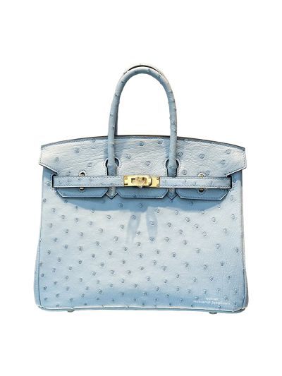 Hermes Birkin 25 Light Blue Ostrich Leather Bag 25CM 524263