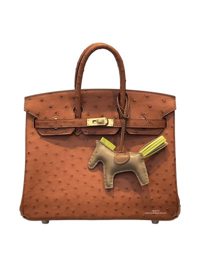 Hermes Birkin 25 Orange Ostrich Leather Bag 25CM 524267