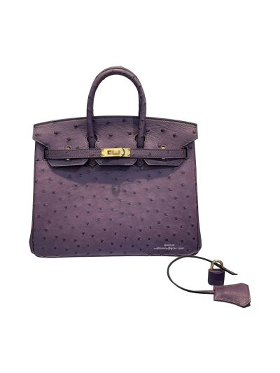 Hermes Birkin 25 Purple Ostrich Leather Bag 25CM 524265