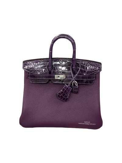 Hermes Birkin 25 Purple Togo and Crocodile Leather Bag 25CM 524293