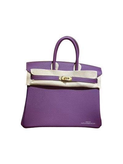 Hermes Birkin 25 Purple Togo Leather Top Handle Bag 25CM 524778