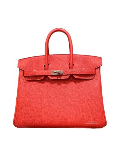 Hermes Birkin 25 Tote Bag Red Togo Calf Leather 25CM 524969