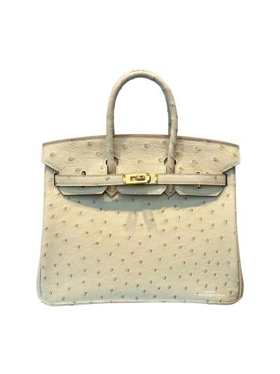 Hermes Birkin 25 White Ostrich Leather Bag 25CM 524269