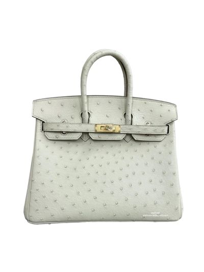 Hermes Birkin 25 White Ostrich Leather Tote Bag 25CM 524703