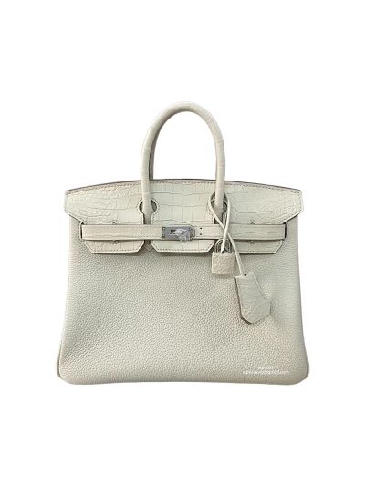Hermes Birkin 25 White Togo and Crocodile Leather Bag 25CM 524296