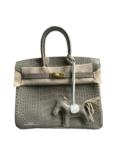 Hermes Birkin 25CM Gray Crocodile Leather Bag 524360