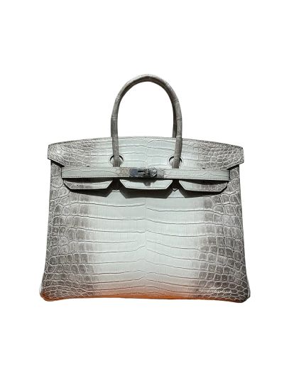 Hermes Birkin 35 Himalayan Crocodile Leather Bag White 35CM 524419