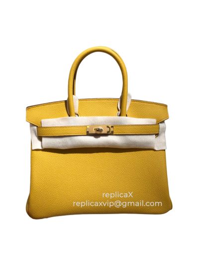 Hermes Birkin Togo Leather Tote Bag 25CM 521739
