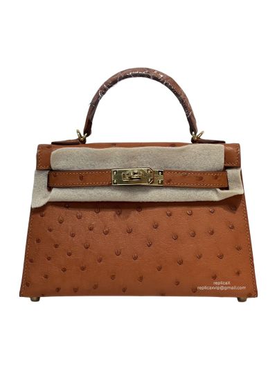 Hermes Mini Kelly Ostrich Leather Bag Brown 523208