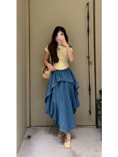 Loewe Denim A-Line Skirt