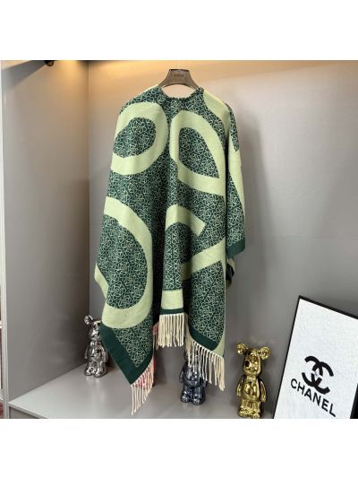 Loewe Fringe Oversized Knit Top in Green and Beige