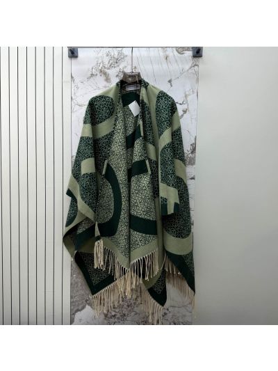 Loewe Fringe Oversized Knit Top in Green and Beige