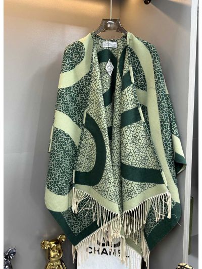 Loewe Fringe Oversized Knit Top in Green and Beige