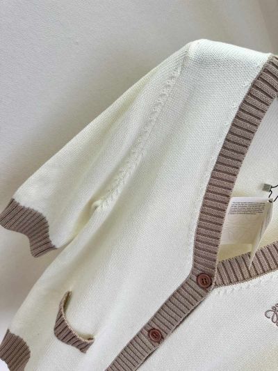 Loewe V-Neck Embroidered Cardigan in White and Beige