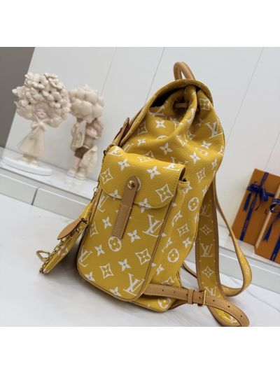 Louis Vuitton Christopher Backpack 30 Monogram M55699