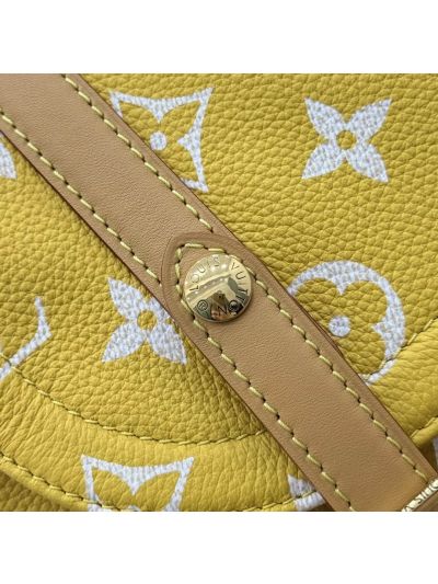 Louis Vuitton Christopher Backpack 30 Monogram M55699