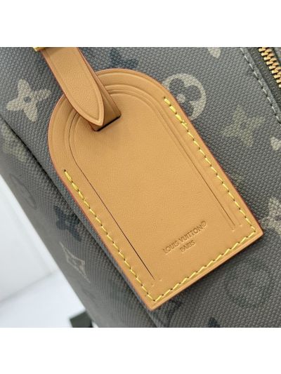 Louis Vuitton Palm Springs 25 Monogram M29769