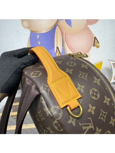 Louis Vuitton Palm Springs 30 Monogram M25979