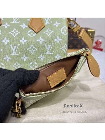 Louis Vuitton Speedy 25 Monogram