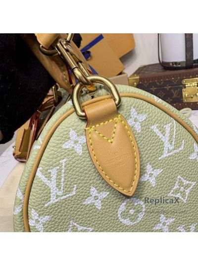 Louis Vuitton Speedy 25 Monogram