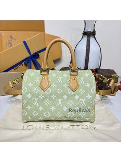 Louis Vuitton Speedy 25 Monogram