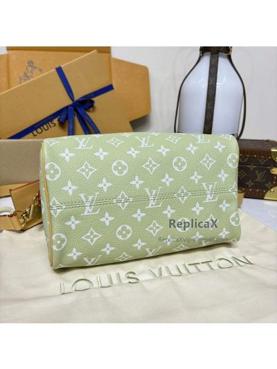 Louis Vuitton Speedy 25 Monogram