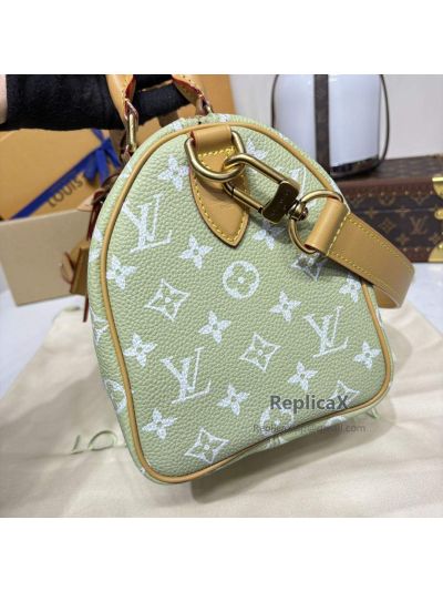 Louis Vuitton Speedy 25 Monogram
