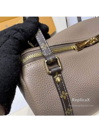 Louis Vuitton Speedy in brown monogram canvas