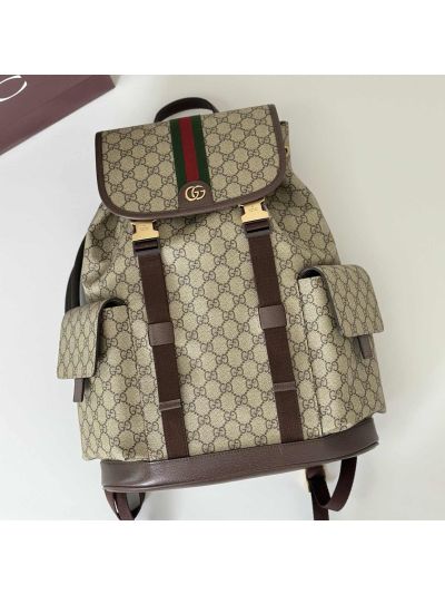 ophidia-backpack-in-beige-brown-rxgui292513-05